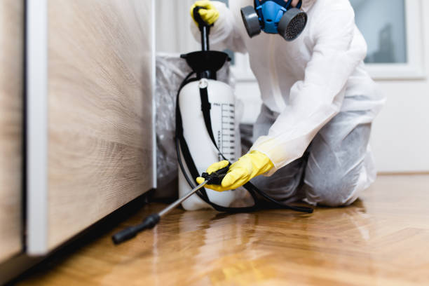 Best Emergency Pest Control  in The Galena Territory, IL