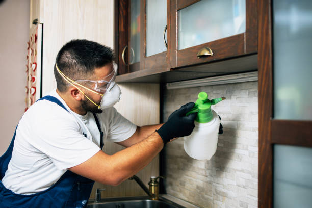 Pest Prevention Services in The Galena Territory, IL