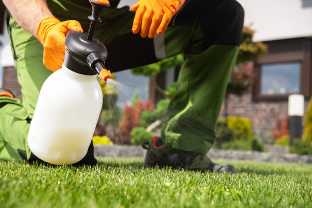 Trusted The Galena Territory, IL Pest Control Experts
