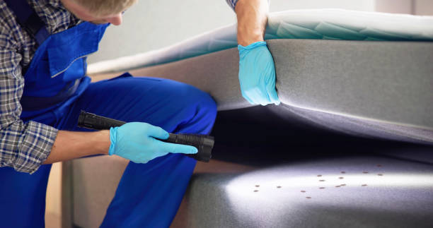 Best Best Pest Control Companies  in The Galena Territory, IL