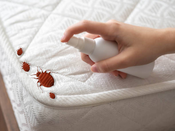 Best Cockroach Control Services  in The Galena Territory, IL