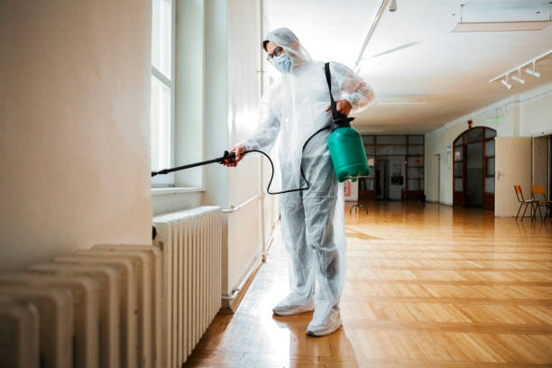 Best Local Pest Control Services  in The Galena Territory, IL