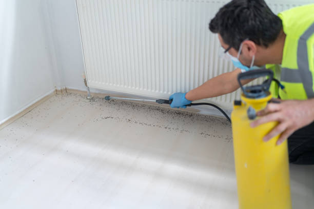 Best Best Pest Control Companies  in The Galena Territory, IL
