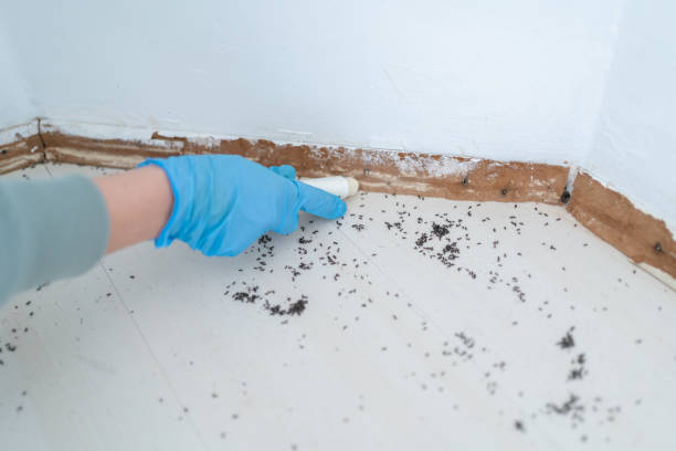 Best Ant Control Services  in The Galena Territory, IL