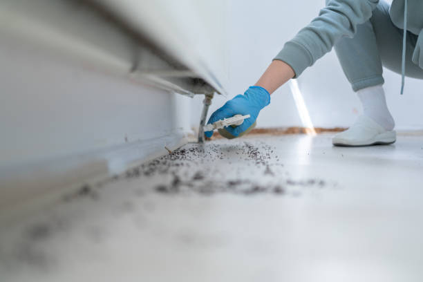 Best Residential Pest Control  in The Galena Territory, IL