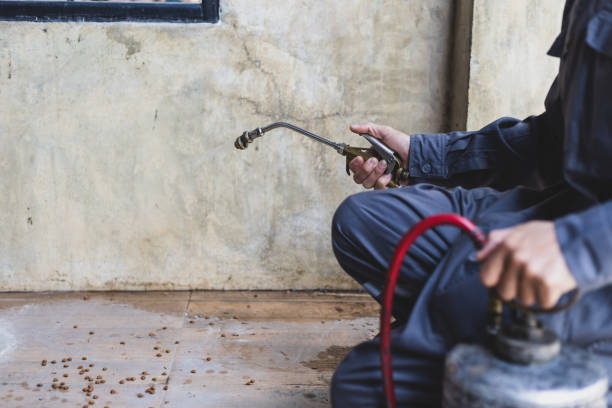 Best Pest Control Near Me  in The Galena Territory, IL